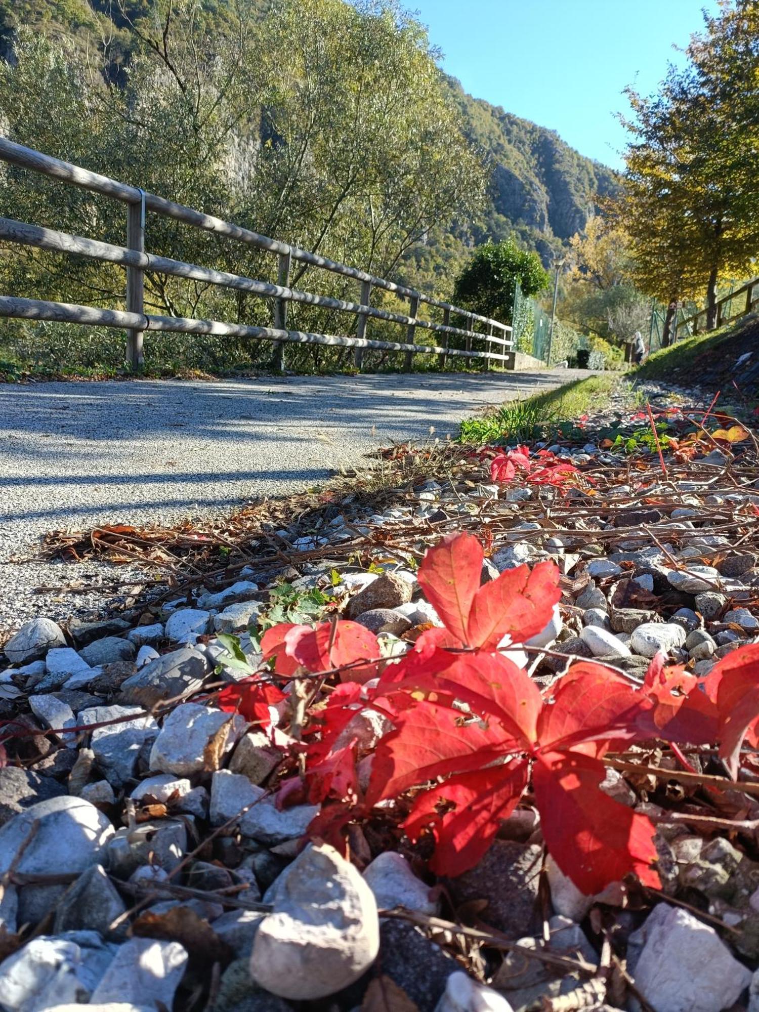 Borgo Lungofiume B&B Valbrenta 외부 사진